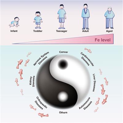 Mapping the evolution and research landscape of ferroptosis-targeted nanomedicine: insights from a scientometric analysis